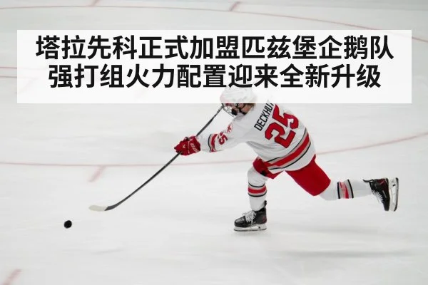 塔拉先科正式加盟匹兹堡企鹅队强打组火力配置迎来全新升级